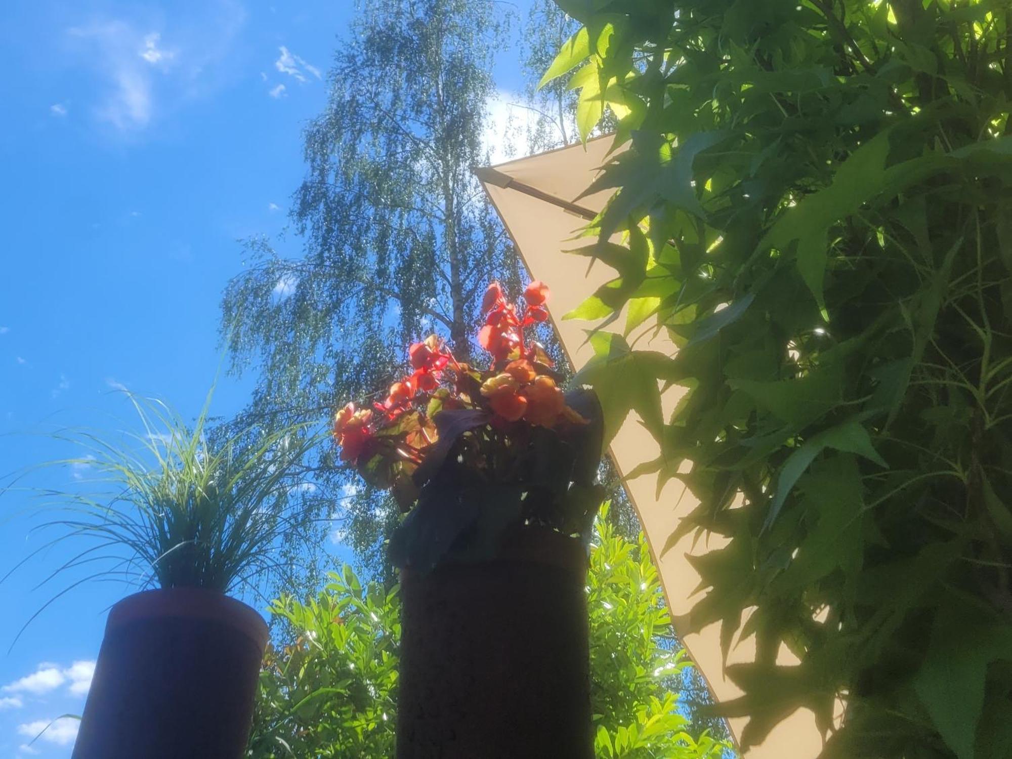 I24Rooms - Gaestezimmer Mit Eigenem Garten Legau المظهر الخارجي الصورة
